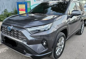 Toyota RAV4 TRD Off Road AWD 2023 Gray