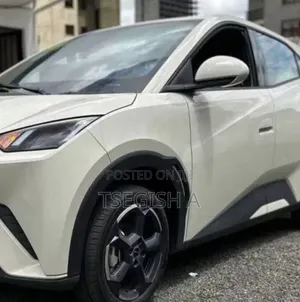 New BYD Seagull 2024 White