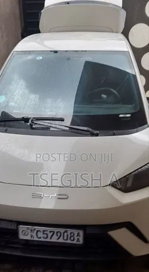 New BYD Seagull 2024 White