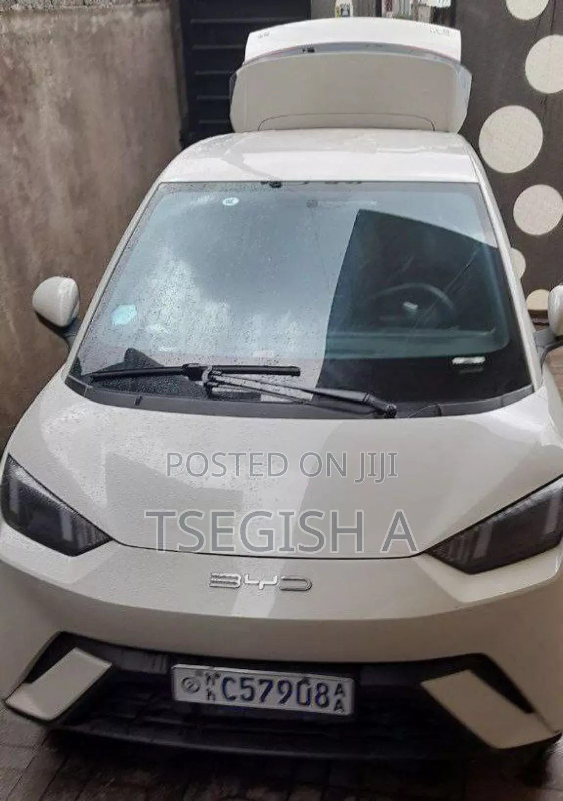 New BYD Seagull 2024 White