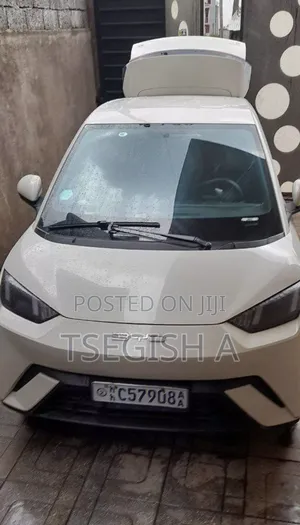 New BYD Seagull 2024 White