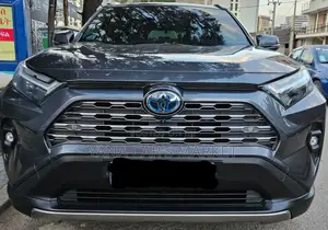 Toyota RAV4 Hybrid 2023 Gray