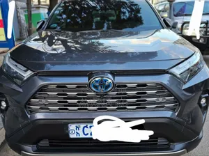 Toyota RAV4 Hybrid 2023 Gray