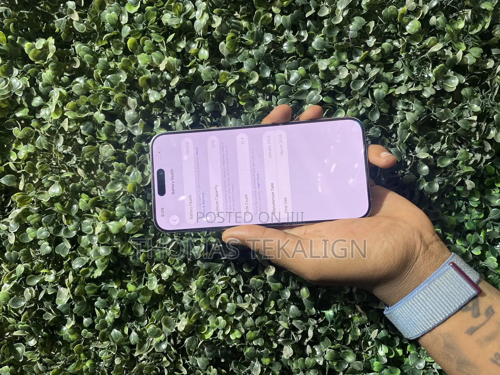 Apple iPhone 15 Pro Max 256 GB Silver