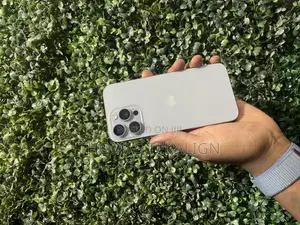 Apple iPhone 15 Pro Max 256 GB Silver