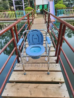 Commode Chair蝨子toilet Chair須臾toilet Chair肺/Commode Chair段#Commode_chai