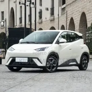 Photo - New BYD Seagull 30 kWh FWD 2023 White