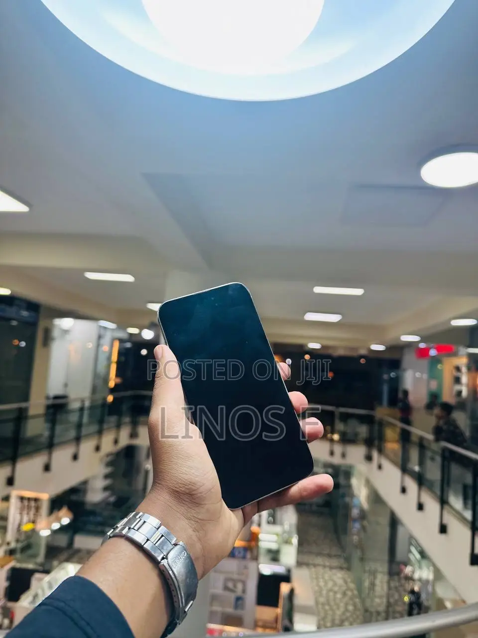 Apple iPhone 15 Pro Max 256 GB Silver