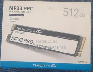Mp33 Pro M2 SSD 512gb