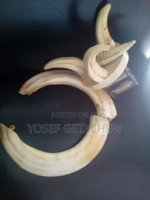 Photo - Konjo Yebet Get