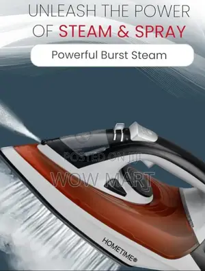 Hometime Steam Iron