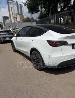 Tesla Model Y 2023 White