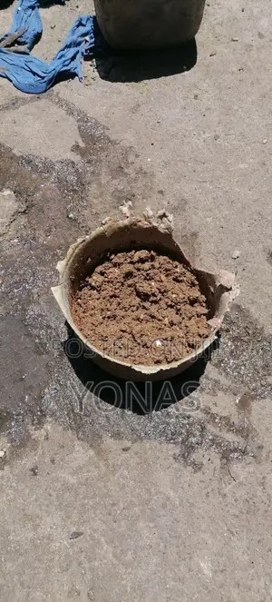 Photo - Dog Food የውሻ መኖ