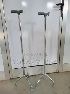 Photo - Walking Stick