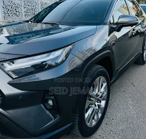 Toyota RAV4 2023 Gray