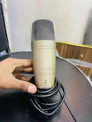 Behringer Mic