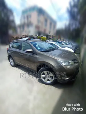 Toyota RAV4 2014 Gray