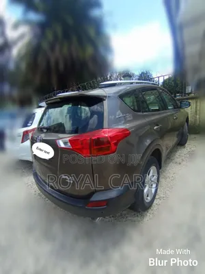 Toyota RAV4 2014 Gray