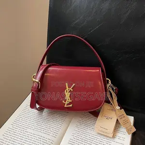 Ysl Ladies Bag