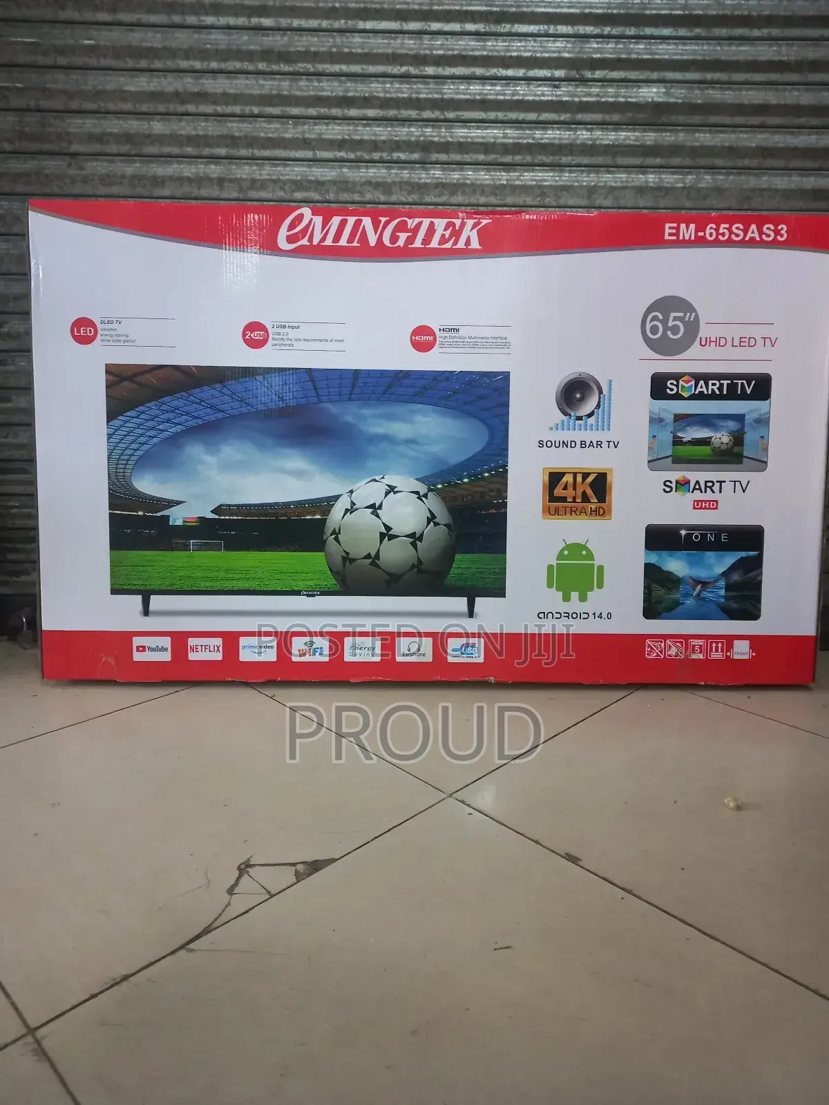 Eminigtek 65 Inch Tv