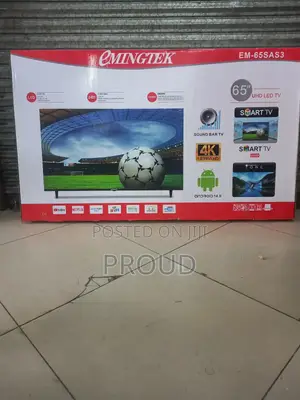 Eminigtek 65 Inch Tv