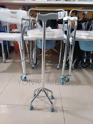 Photo - Walking Stick旯占ከዘራfor Those With Mobility Challenges,Essential Support