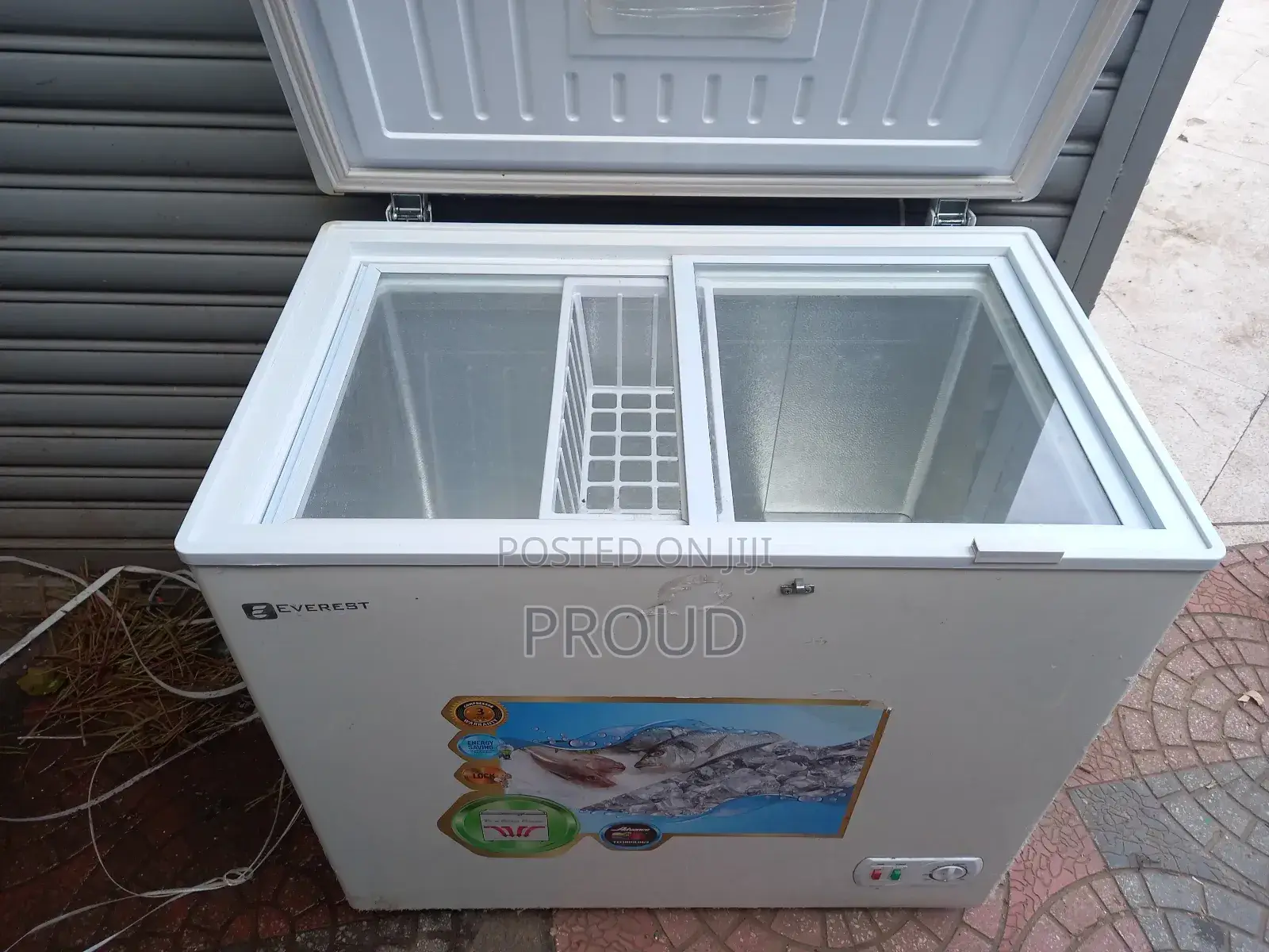 Everest Deep Frige Slightly Used