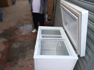 Everest Deep Frige Slightly Used