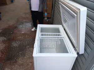 Everest Deep Frige Slightly Used