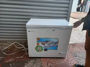 Everest Deep Frige Slightly Used