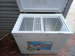 Everest Deep Frige Slightly Used