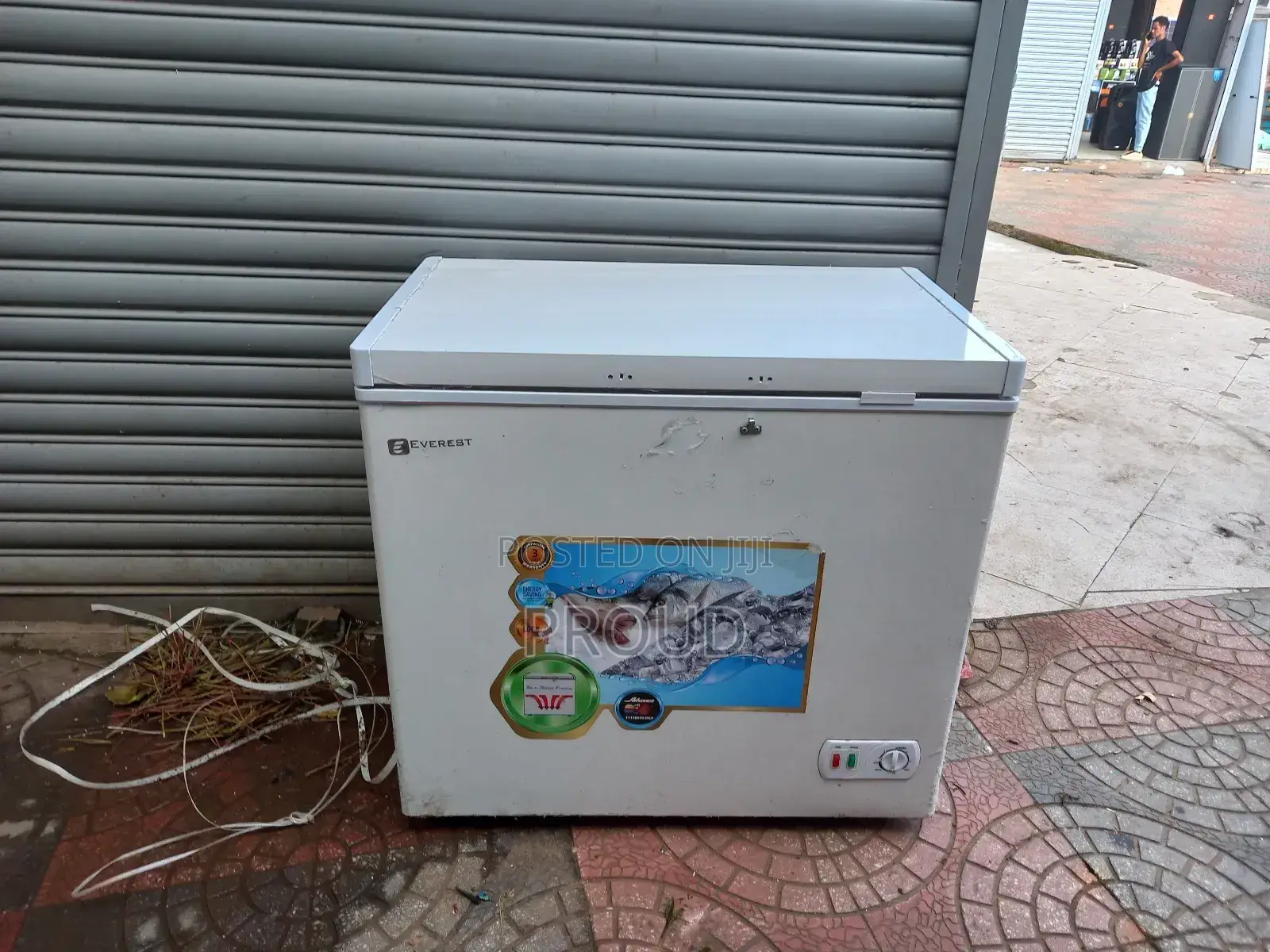 Everest Deep Frige Slightly Used