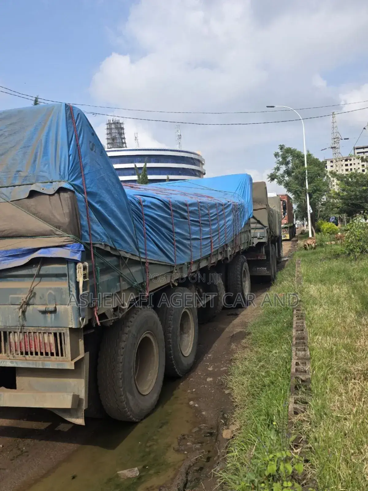 Sinotruk Howo 2024 White