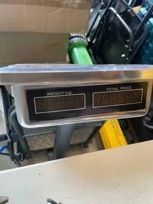 300 Kg Scale Original Iron Shark Brand