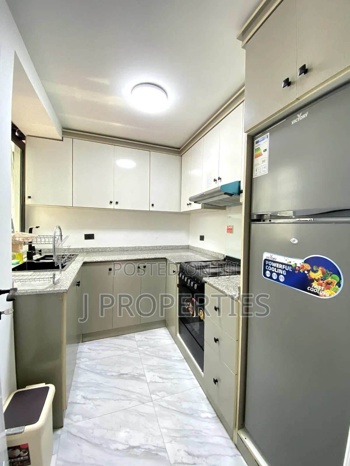 Furnished 1bdrm Apartment in Bole for rent