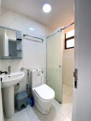 Furnished 1bdrm Apartment in Bole for rent