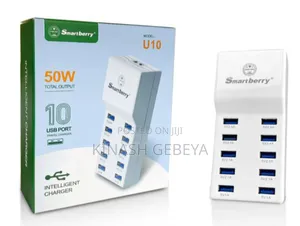 Smart Berry U10 High Quality Charger(50watt)