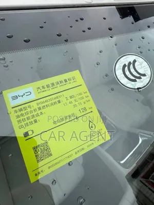 New BYD Song Plus 2025 Silver