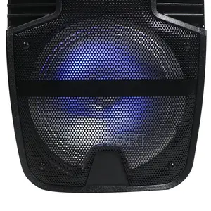 Maxx 8′′ Party Power Speaker – Wired Mic + Remote, 1200w Pmpo