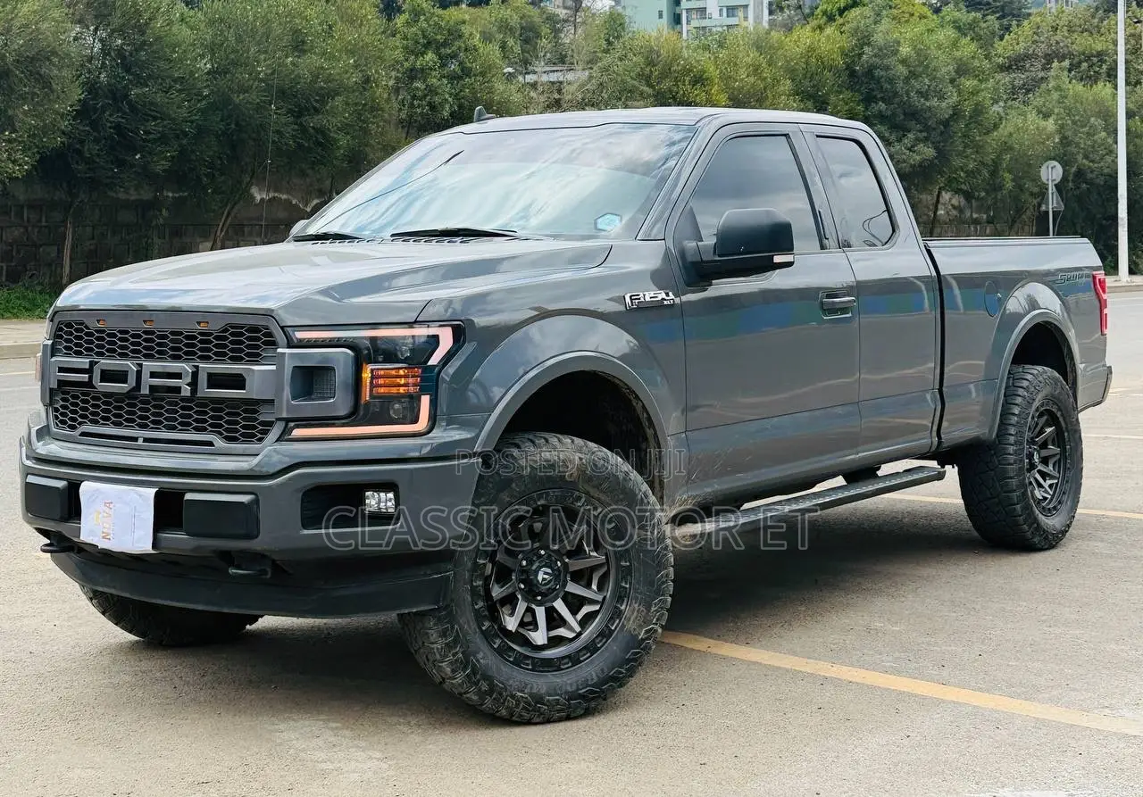 Ford F-150 2020 Gray