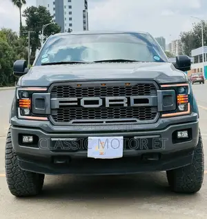 Ford F-150 2020 Gray