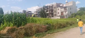 94 ካሬ በዶ ቦታ አስፓልት ግልባጭ