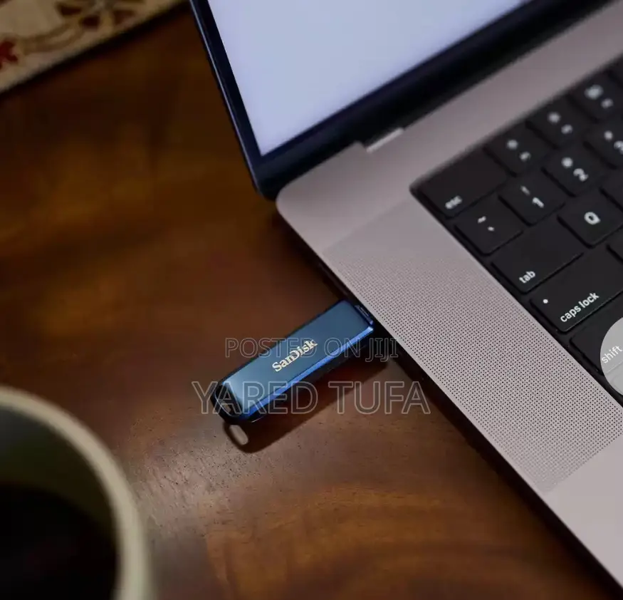 Sandisk Flash Drive 256gb for iPhone and Mac