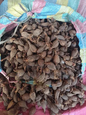 Photo - ምርጥ የጅማ ኮረሪማ