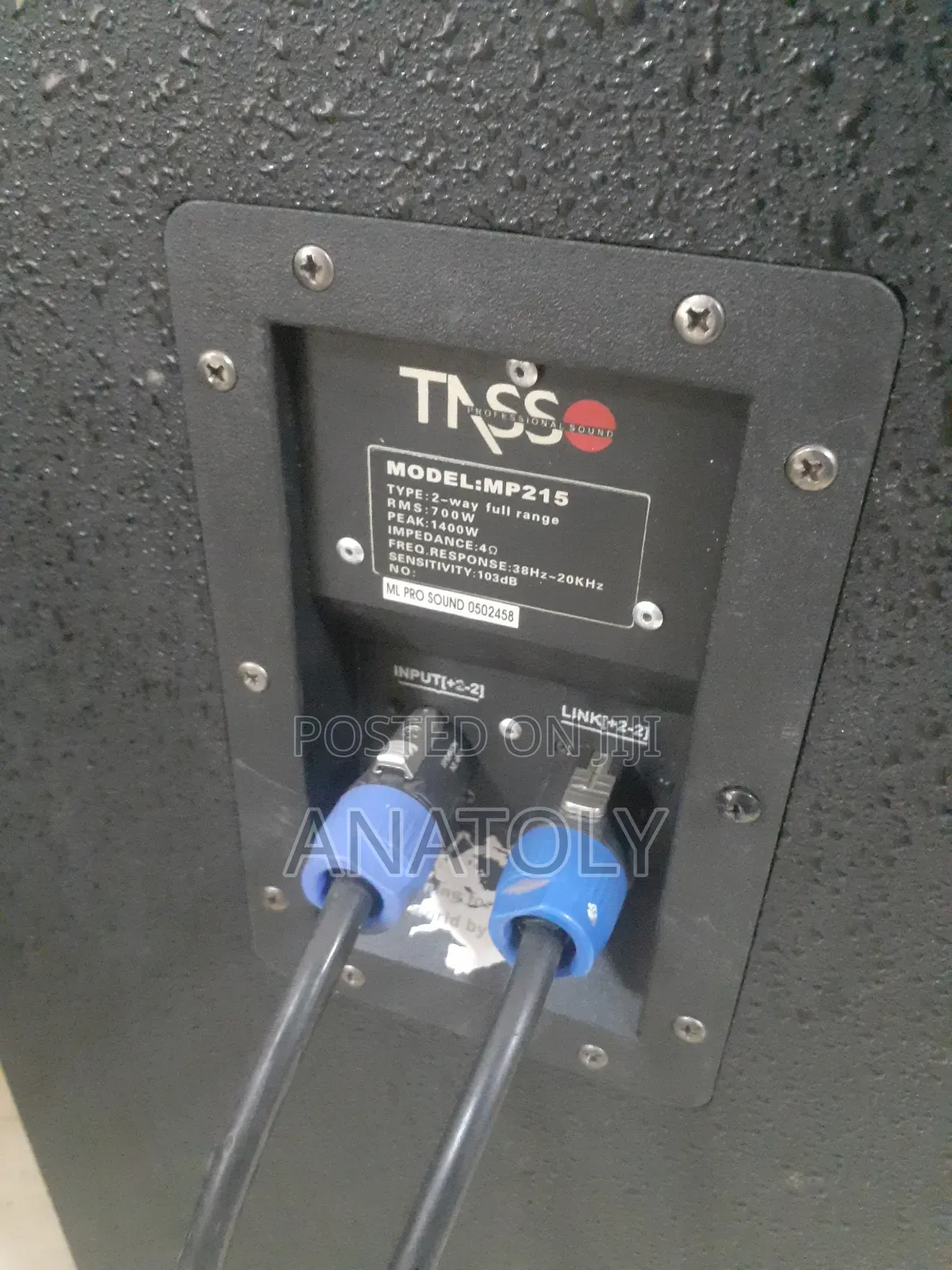 Full Range Tasoo Speaker