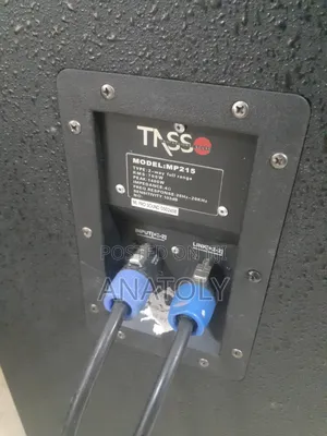 Full Range Tasoo Speaker