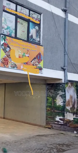 Furnished 1bdrm Condo in Bole for sale