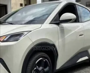 New BYD Seagull 2024 Silver