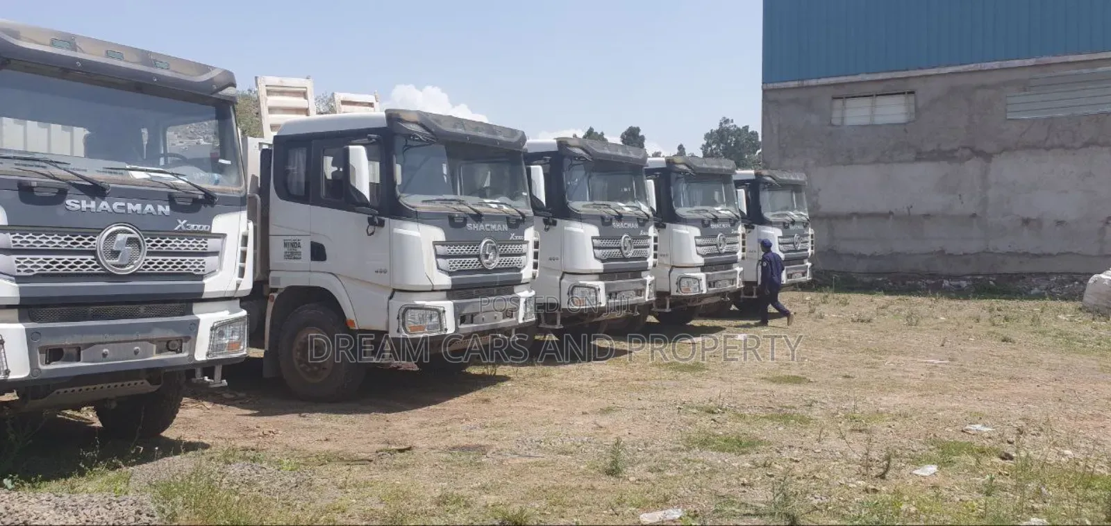 Shacman Tesabi 2025 Bank Option