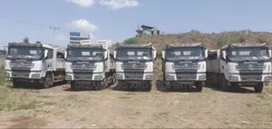 Shacman Tesabi 2025 Bank Option